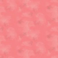 ttJN-C2970 SORBET